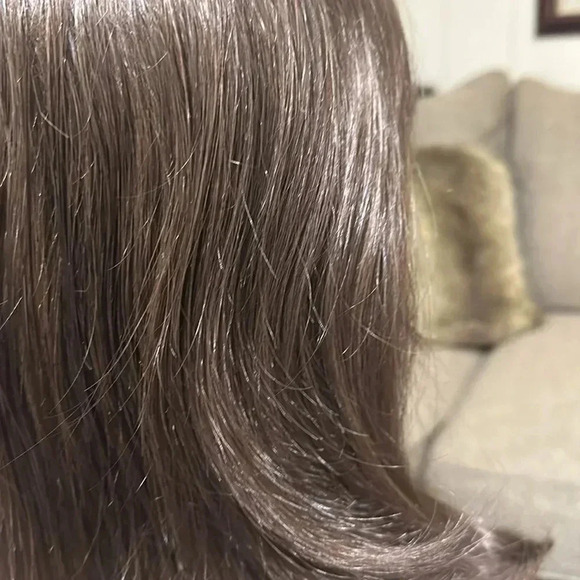 RAQUEL WELCH Signature Collection HairUWear Hairpiece Brown Synthetic WIG - Picture 15 of 17